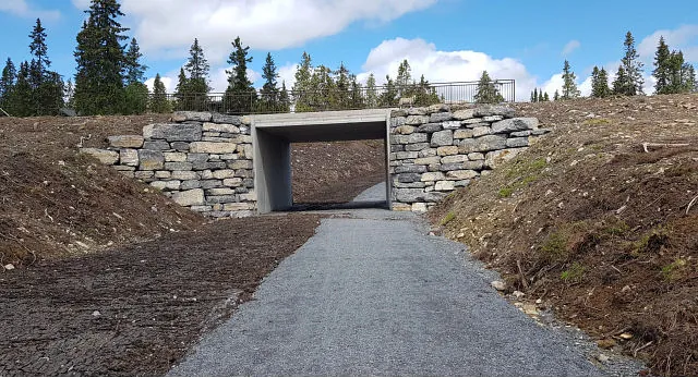 Ny gang- og sykkelvei leder inn i undergang bygget i betong og stein, omringet av skog.